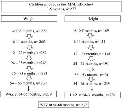 Infections and nutrient deficiencies during infancy predict impaired growth at 5 years: Findings from the MAL-ED study in Pakistan